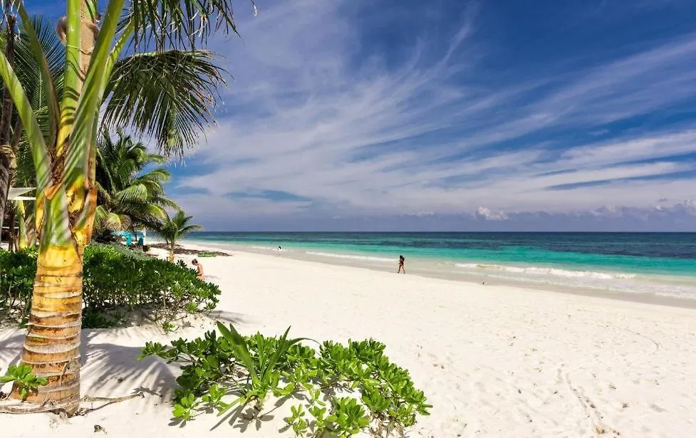Jungle Villa -Steps To The Beach And Restaurants! Tulum Mexiko